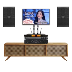 Dàn karaoke cao cấp Wharfedale Pro DMA113