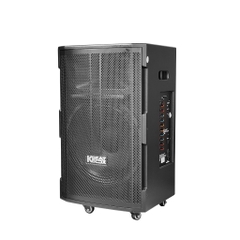 Loa di động karaoke Acnos CB391G, bass 40cm, 100W