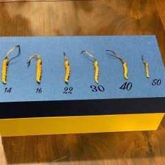 Đông Trùng Hạ Thảo Tây Tạng Vip - 14con/10g Hàng Tuyển Chọn