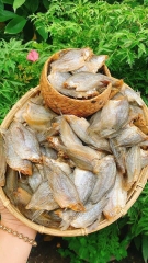 KHÔ CÁ SẶC BƯỚM- 500gr
