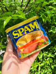 Thịt hộp spam Usa