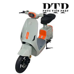 Xe Điện TAILG GR55 Plus