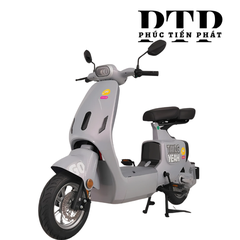 Xe Điện TAILG GR55