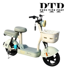 Xe Điện TAILG JY33