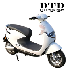 Xe Máy Điện TAILG R53