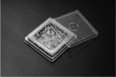 Đĩa nuôi cấy tế bào 4 giếng SLP-hàn quốc (4 cái/túi)