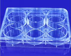 Đĩa nuôi cấy tê bào 6 giếng - Nest