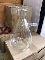 Bình tam giác có nhánh 1000ml