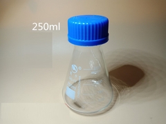 Bình tam giác 250ml nắp vặn xanh