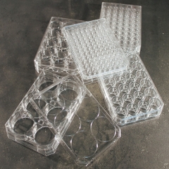 Đĩa nhựa 24 giếng đáy phẳng, có nắp