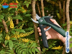 Kéo cắt cành dùng pin Bosch EASYPRUNE