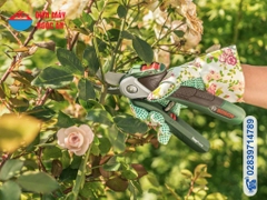 Kéo cắt cành dùng pin Bosch EASYPRUNE