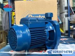 Máy bơm nước ly tâm Pentax Italy CM 100 /60