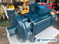 Máy bơm nước cao áp 1Hp HỒNG KÝ HKP-D-13-20-0.75