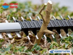 Máy cắt tỉa hàng rào dùng pin Bosch GHE 18V-60  (Chưa pin, sạc) Mã 06008C9000