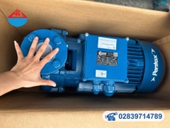 Máy bơm Pentax CM40-250A