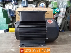 Động cơ điện VSM vỏ nhôm 100% công suất 1,5kW - tốc độ 1450 vòng/phút PLA-VSM1.514AL
