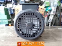 Động cơ điện VSM vỏ nhôm 100% công suất 1,5kW - tốc độ 1450 vòng/phút PLA-VSM1.514AL