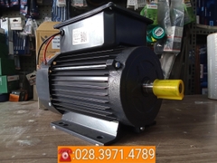 Động cơ điện VSM vỏ nhôm 100% công suất 1,5kW - tốc độ 1450 vòng/phút PLA-VSM1.514AL