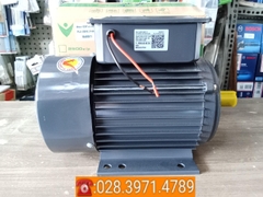 Động cơ điện VSM vỏ nhôm 100% công suất 2,2kW - tốc độ 1470 vòng/phút PLA-VSM2.214AL
