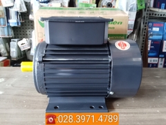 Động cơ điện VSM vỏ nhôm 100% công suất 2,2kW - tốc độ 1470 vòng/phút PLA-VSM2.214AL