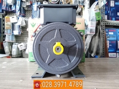 Động cơ điện VSM vỏ nhôm 100% công suất 2,2kW - tốc độ 1470 vòng/phút PLA-VSM2.214AL