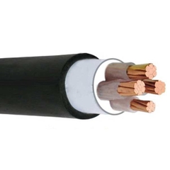 Cáp CU/PVC/PVC 30x1,0 mm2