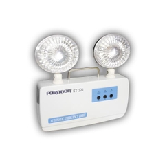 Đèn sự cố Paragon PEMA25SW