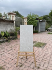 GẠCH CARINA CA6.MO4801