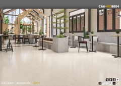 GẠCH CARINA CA6.MO8804