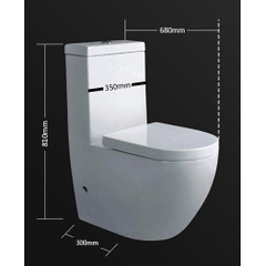 BÀN CẦU MỘT KHỐI NẮP ĐÓNG ÊM CB810