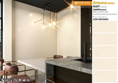 Gạch Unitedtiles 300x600mm AZ8-GM3604