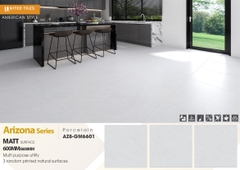 Gạch Unitedtiles 600x600mm AZ8-GM6601