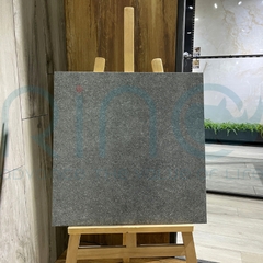 GẠCH CARINA CA5.MO6602