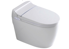 BÀN CẦU MỘT KHỐI CARINA CB900NR