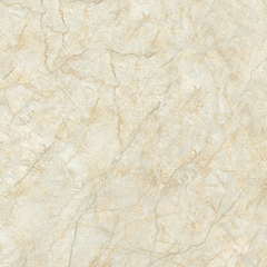 Gạch VID 600X600 D6615