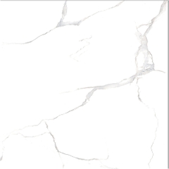 Gạch VID 600X600 D6628