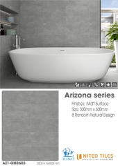 Gạch United 300x600 AZ1-GM3603
