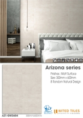 GẠCH UNITED 300X600 AZ1-GM3604