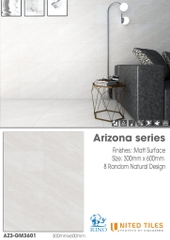 Gạch United 300x600 AZ3-GM3601