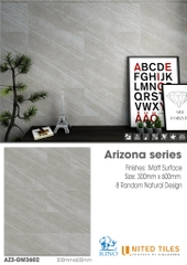 Gạch United 300x600 AZ3-GM3602