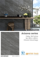 Gạch United 300x600 AZ3-GM3603