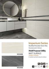 Gạch Misa 300*600 MO36006