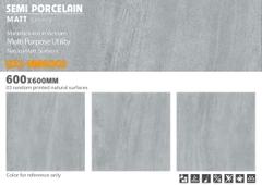 Gạch lát nền Viglacera 600x600  UZ2-HM6003