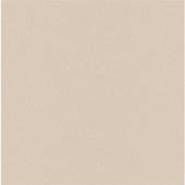 VB601 - Gạch Granit đồng chất mài bóng VB601