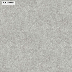 GẠCH CARINA CA5.MO6601