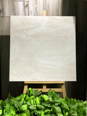 GẠCH CARINA CA2.PO8801