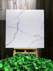 GẠCH CARINA CA6.PO8806