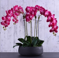 Bowl Painted Cement planters CM1103 - Concrete planters