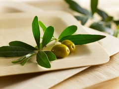 Wholesale Eco-friendly Bamboo Spare 3.5 In. plates instead plastic bpa free